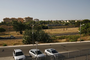 Cavaleri (14)